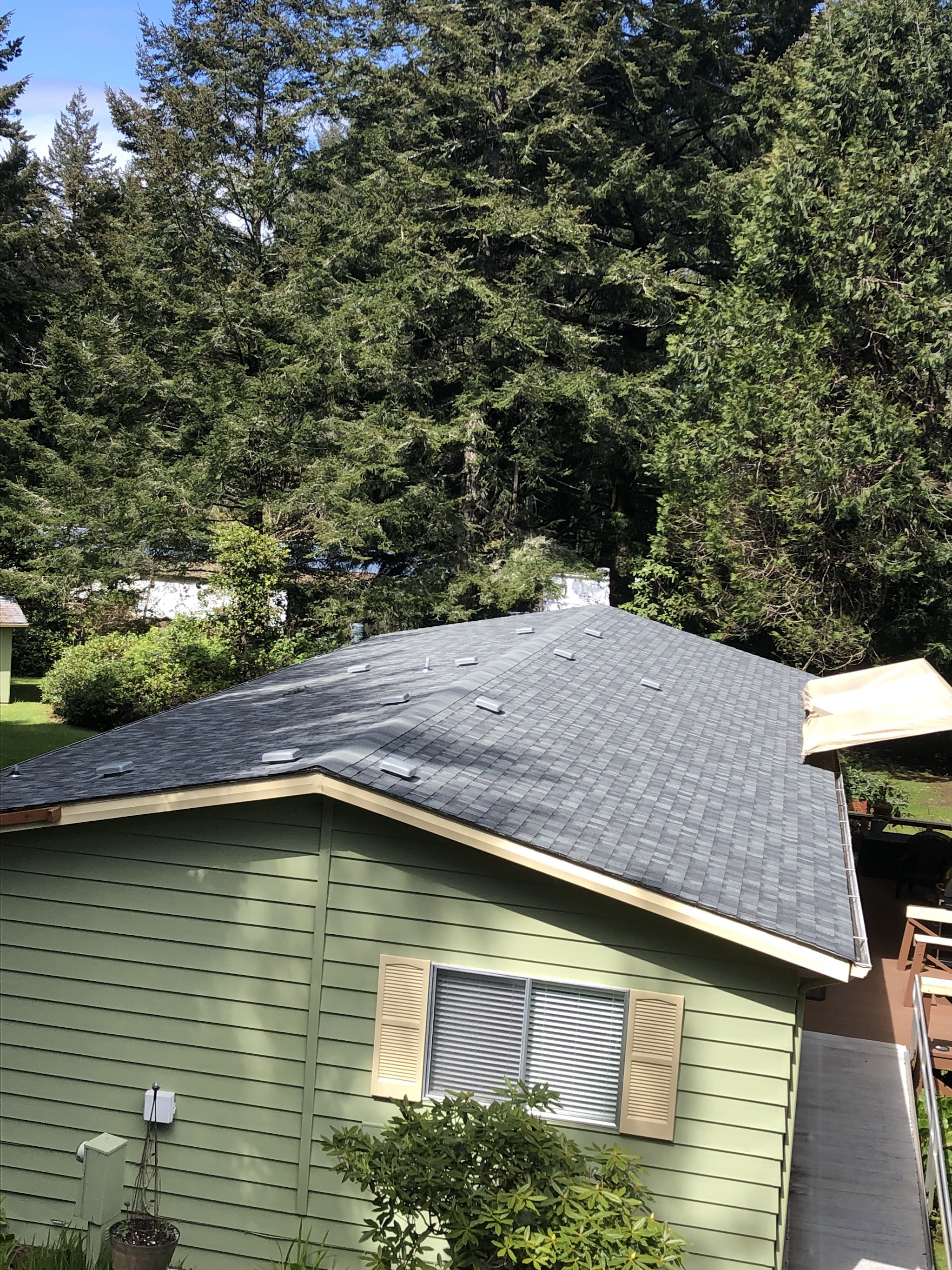 Residential roof replacement in progress with dump trailer and ladder staged in the driveway